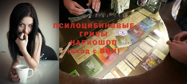 твердый Алексеевка