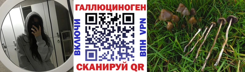 Галлюциногенные грибы мицелий хочу Люберцы