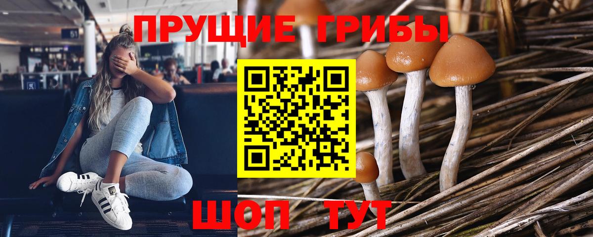 Люберцы  купить наркотики цена  Галлюциногенные грибы Cubensis  Вход с VPN  Галлюциногенные грибы MAGIC MUSHROOMS 